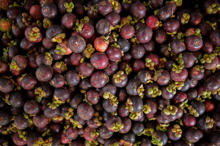 Full frame shot of red fruits
