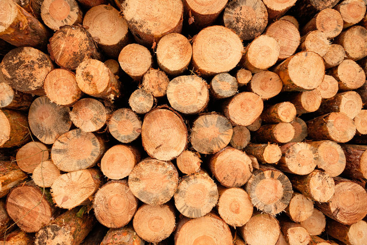 Full frame shot of firewood