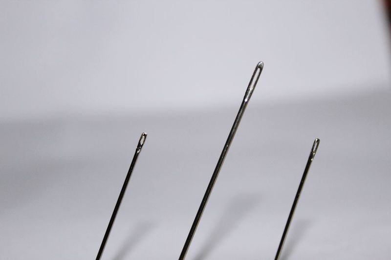 Close-up of needles
