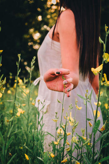 Midsection of woman holding flower
