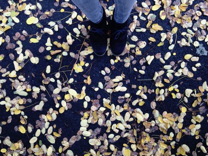 Low section of man standing on autumn leaves
