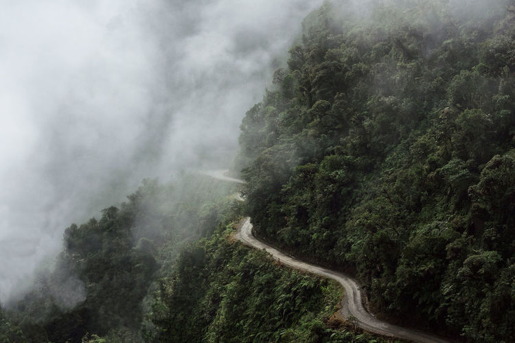 Scenic view of road going through foggy landscape