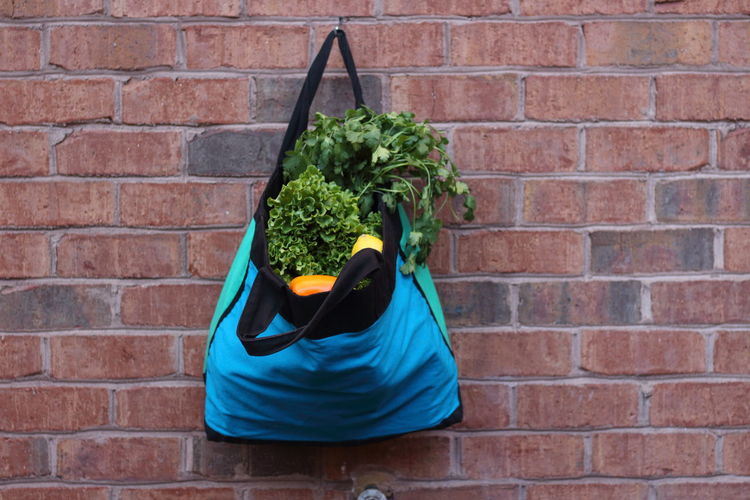 Groceries in bag hanging on brick wall