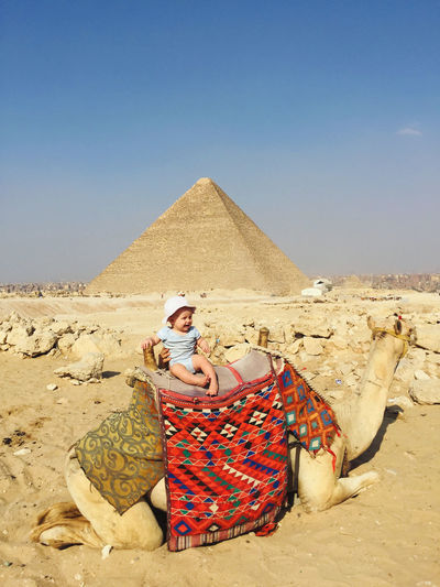 Little cute boy sit on camel at egyptian pyramids background