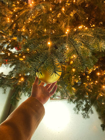 Midsection of person holding christmas tree