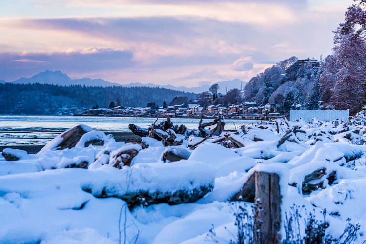 Snow cover the shoreline with three tree point in the distance.