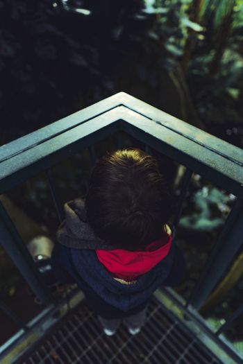 Rear view of boy looking through railing