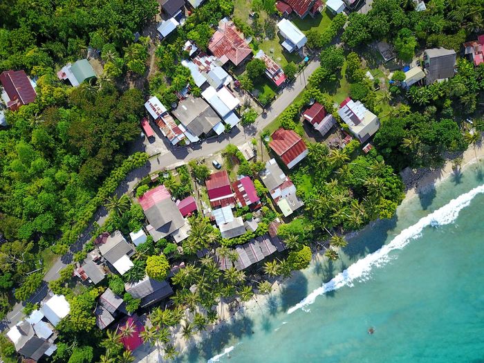 Natural view of coconut trees, beaches and city building from an altitude angle of 100 meters