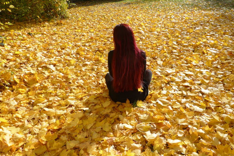 Rear view of woman sitting on autumn leaves