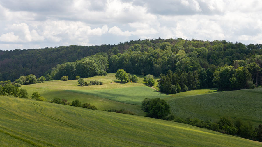 Scenic view of golf course against sky
