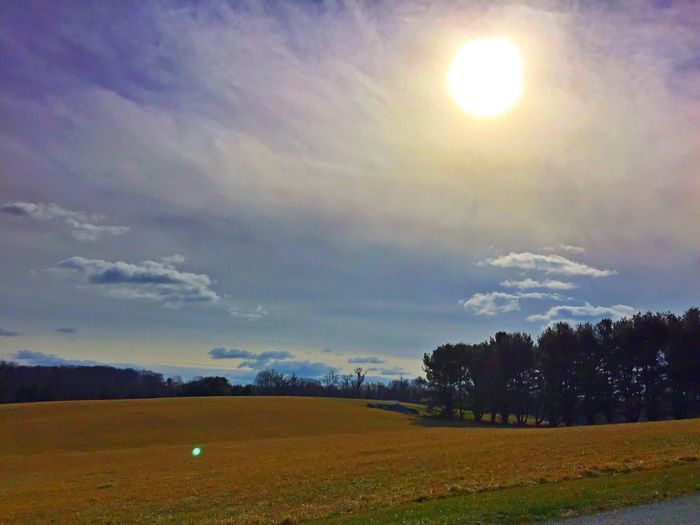 Scenic view of grassy field against sky at sunset