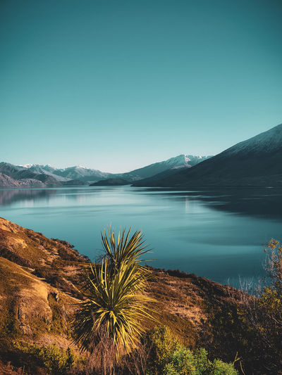 Scenic view of lake against clear blue sky in new zealand