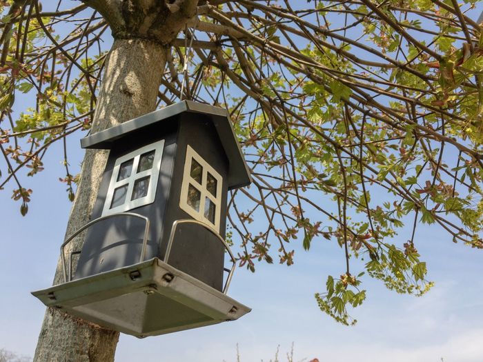 Low angle view of birdhouse on tree against sky