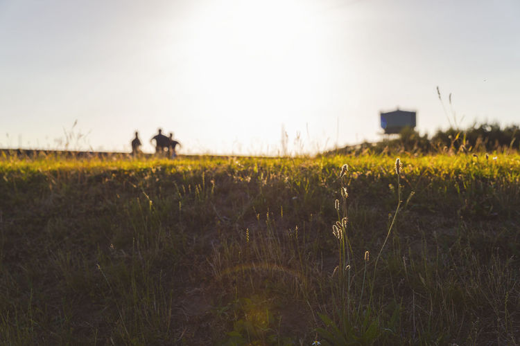 Scenic view of silhouette field against clear sky
