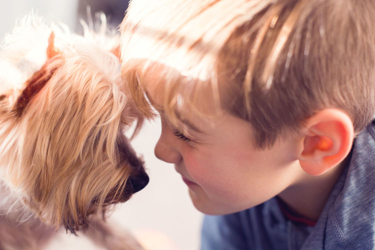 A boy and his dog are face to face, sharing a loving moment.