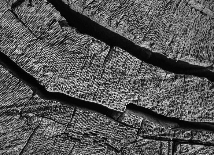 Close-up of shadow on wood