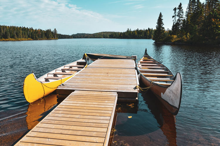 Canoes on the shore of the lake on a sunny day in the mauricie national park, canada. 
