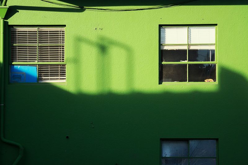 Windows of house