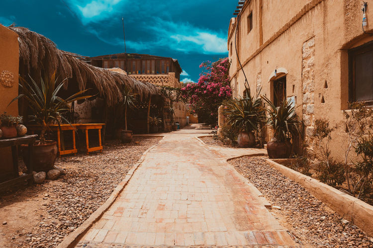 Street amidst trees against sky