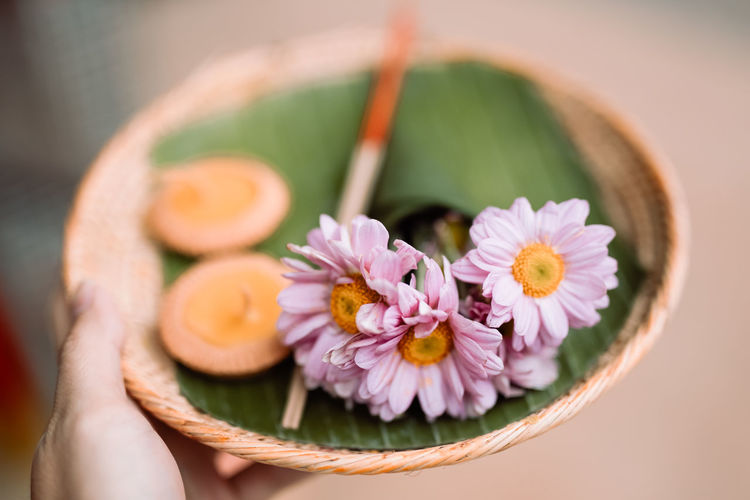 Wood tray that include circle banana tree leave  ,pink flower ,candle and joss stick