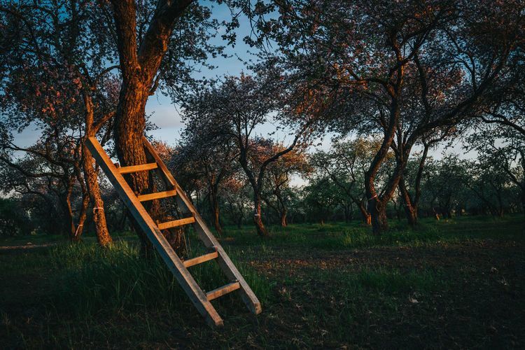 Empty park bench on field against sky