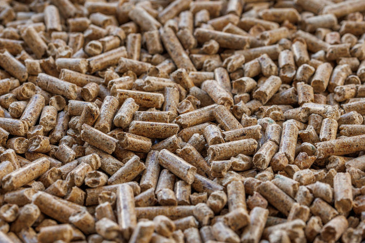 Compacted wooden sawdust pellets. litter for pets and biofuel, closeup with selective focus.