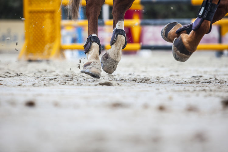 Close-up of horse's hooves in competition