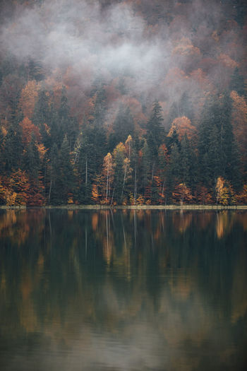 Moody autumn landscape in the foggy forest. saint anne lake,transylvania,romania.	