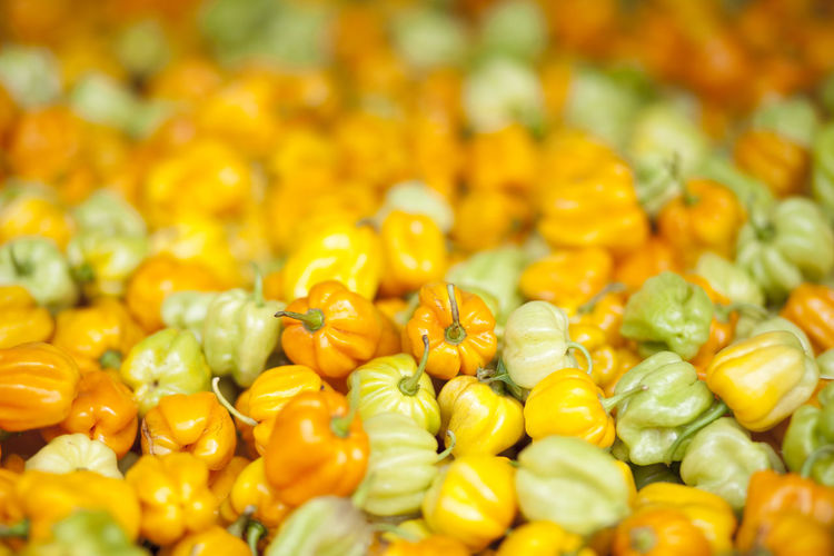 Full frame shot of peppers for sale