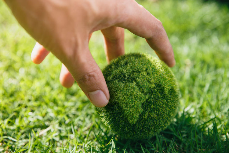 Close-up of hand holding grass