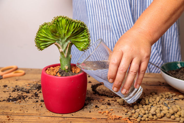 A woman waters a transplanted flower in a ceramic pot.