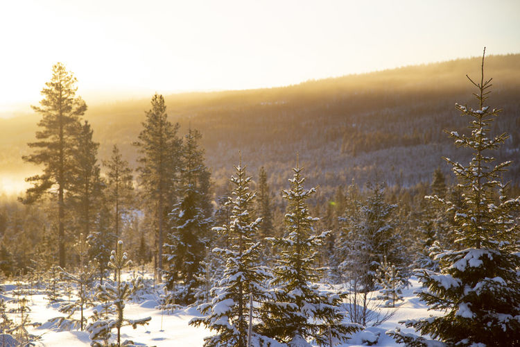 Scenic view of snow covered land against sky