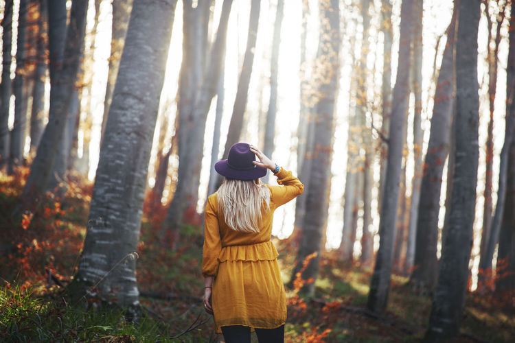Rear view of woman wearing hat while standing in forest during autumn