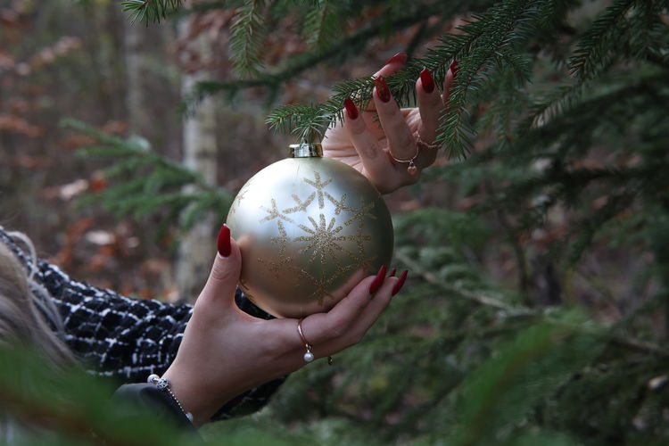 Close-up of woman hanging christmas ornament on pine tree