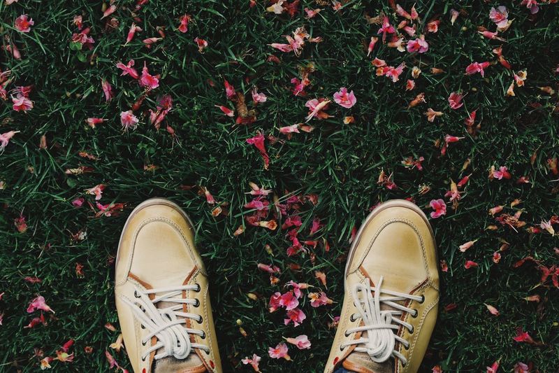 Directly above shot of shoes on grassy field with pink flowers