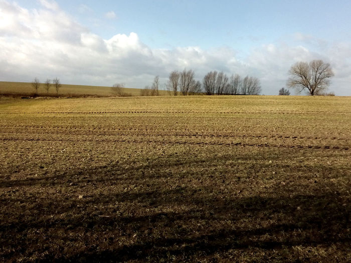 Scenic view of field against cloudy sky