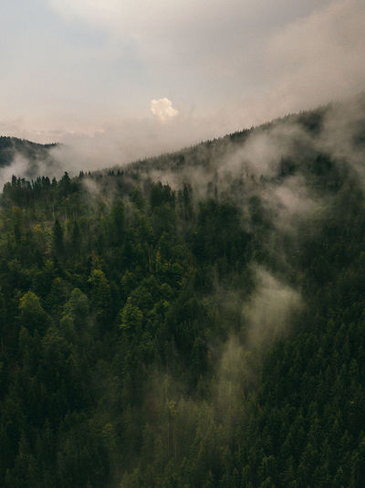 Dark view of mountain forest scenery with dramatic heavy clouds. forest landscape.