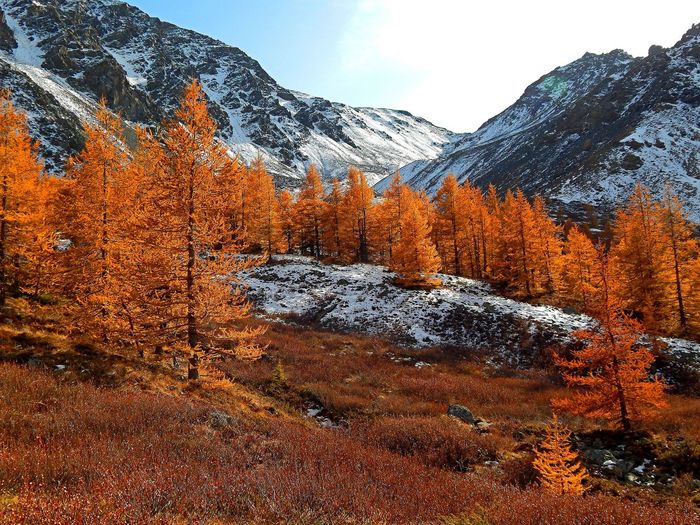 Scenic view of snowcapped mountains during autumn