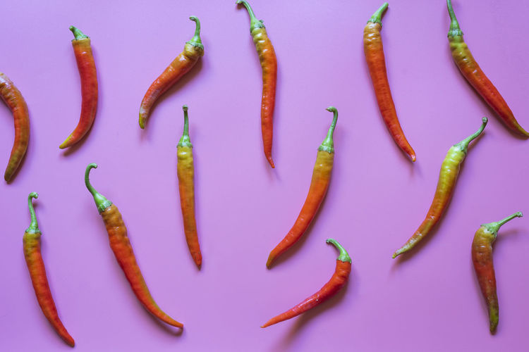 High angle view of chili peppers over white background