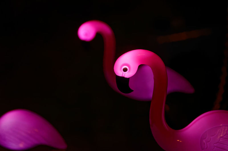 Close-up of artificial pink flamingos