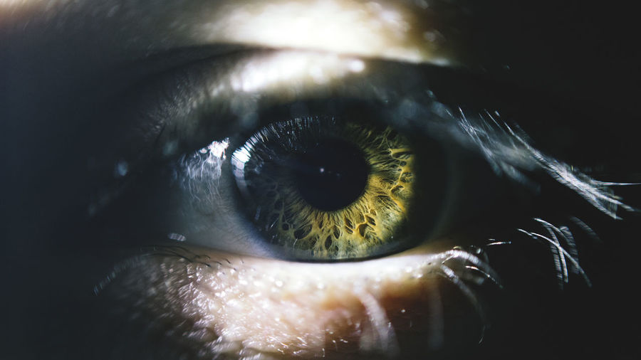 Detail shot of human eye with lashes