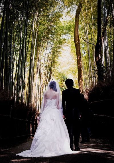Woman standing on tree trunk