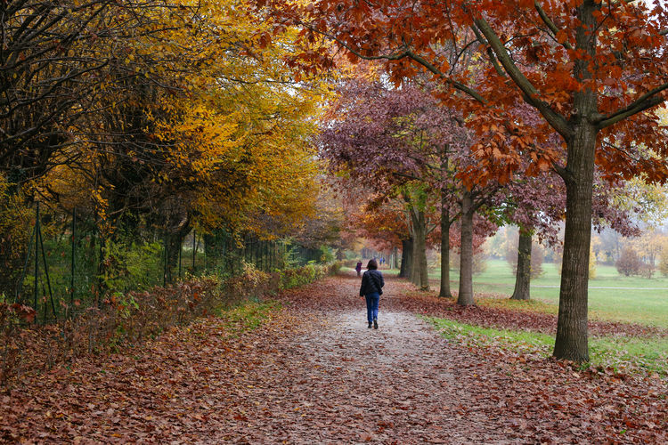 Rear view of woman walking on footpath in park during autumn