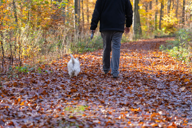 Low section of person standing on ground during autumn