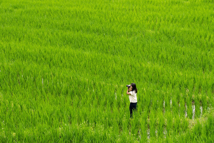 grassland