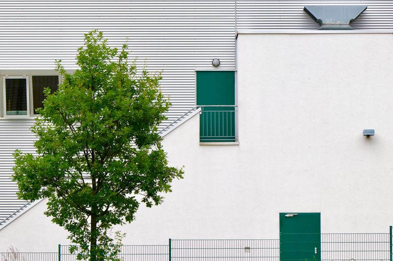 Tree against building 