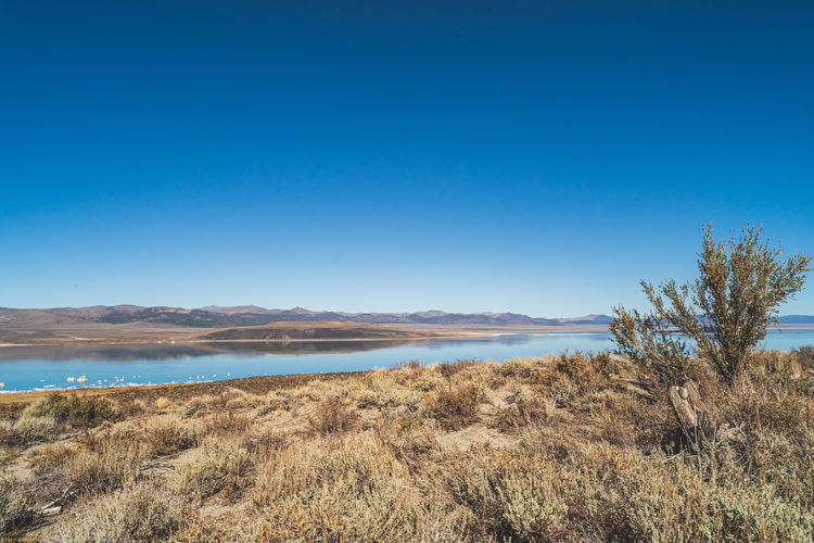 Scenic view of sea against clear blue sky