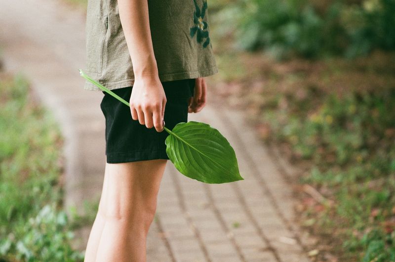 Midsection of woman holding leaf while standing on footpath