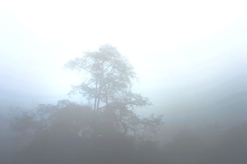 mist