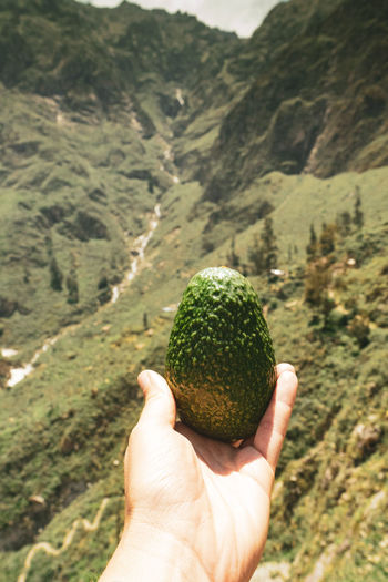 Cropped image of person holding apple against mountain